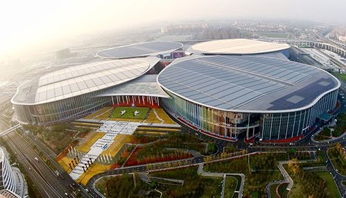 如何在进博会上夺得先机 看台商台企参与进博会的 花式玩法