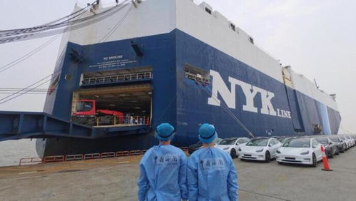 欧盟东盟美国,上海跟三大贸易伙伴出口全部两位数增长,新能源产品出海翻倍了