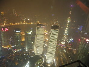 华东游6 上海经贸88楼