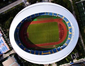 浦东的震撼全景图 上海贸易的辉煌篇章